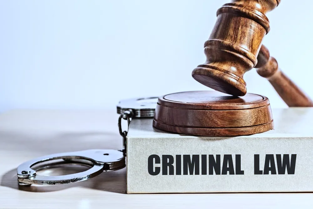 Criminal law establishes the rules for prosecution, defense, trial, and punishment of individuals or entities accused of violating laws.